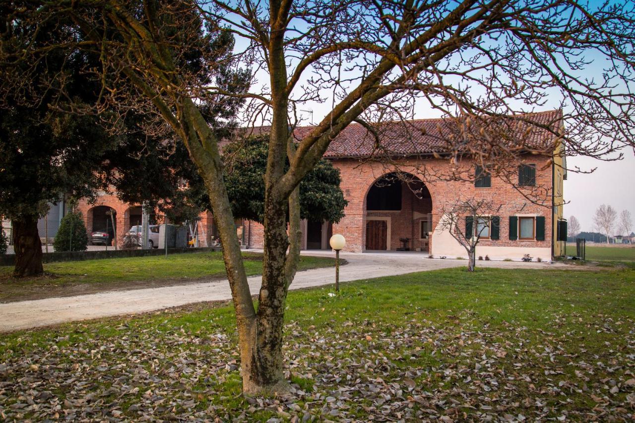 Casa Norma Piano Terra Villa San Martino di Lupari Eksteriør bilde
